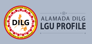 dilg lgu profile banner